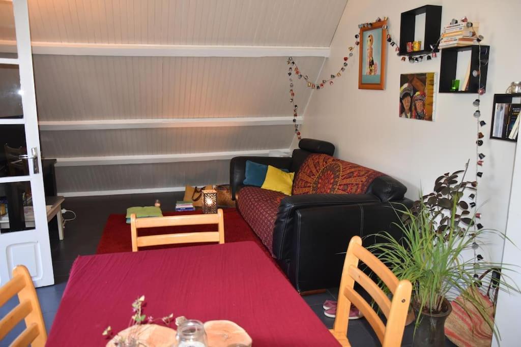 Le Strelitzia 1 Apartment Cilaos Exterior photo